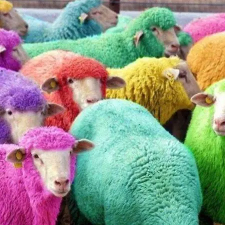 Highfield Gasthuis Skipton