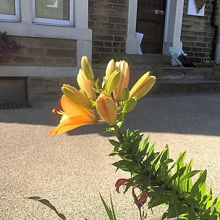 Highfield Guesthouse Guest house 4*