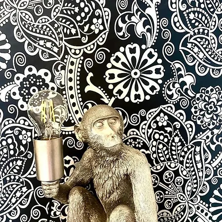 בית הארחה Highfield