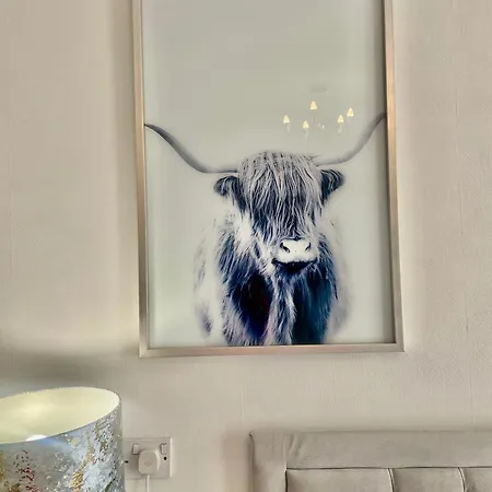 בית הארחה Highfield