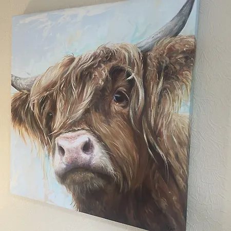 Highfield סקיפטון