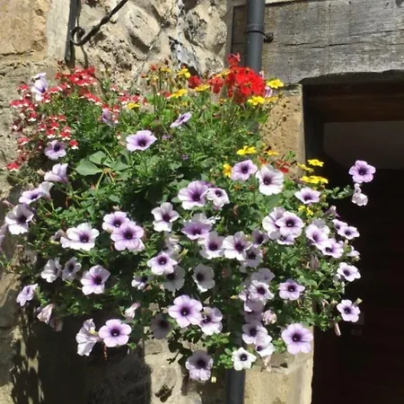 בית הארחה Highfield סקיפטון