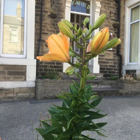 Highfield Guesthouse 4* Skipton