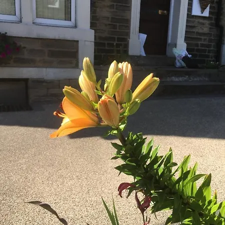 Guest house Highfield Guesthouse Skipton